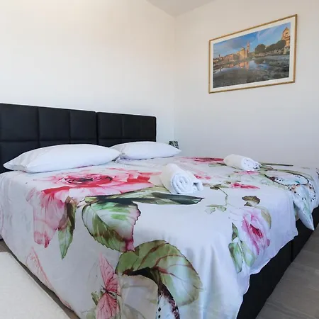 Moonlight * Zára
