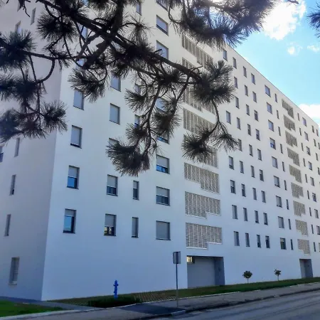 Moonlight * 扎达尔