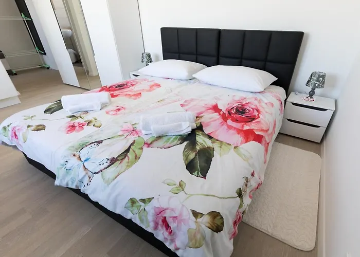 Moonlight * 扎达尔