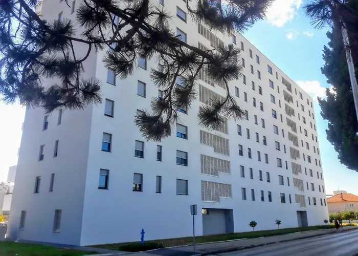 Moonlight * 扎达尔